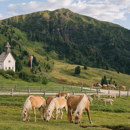 Zallinger Dolomites Seiser Alm Exteriör bild